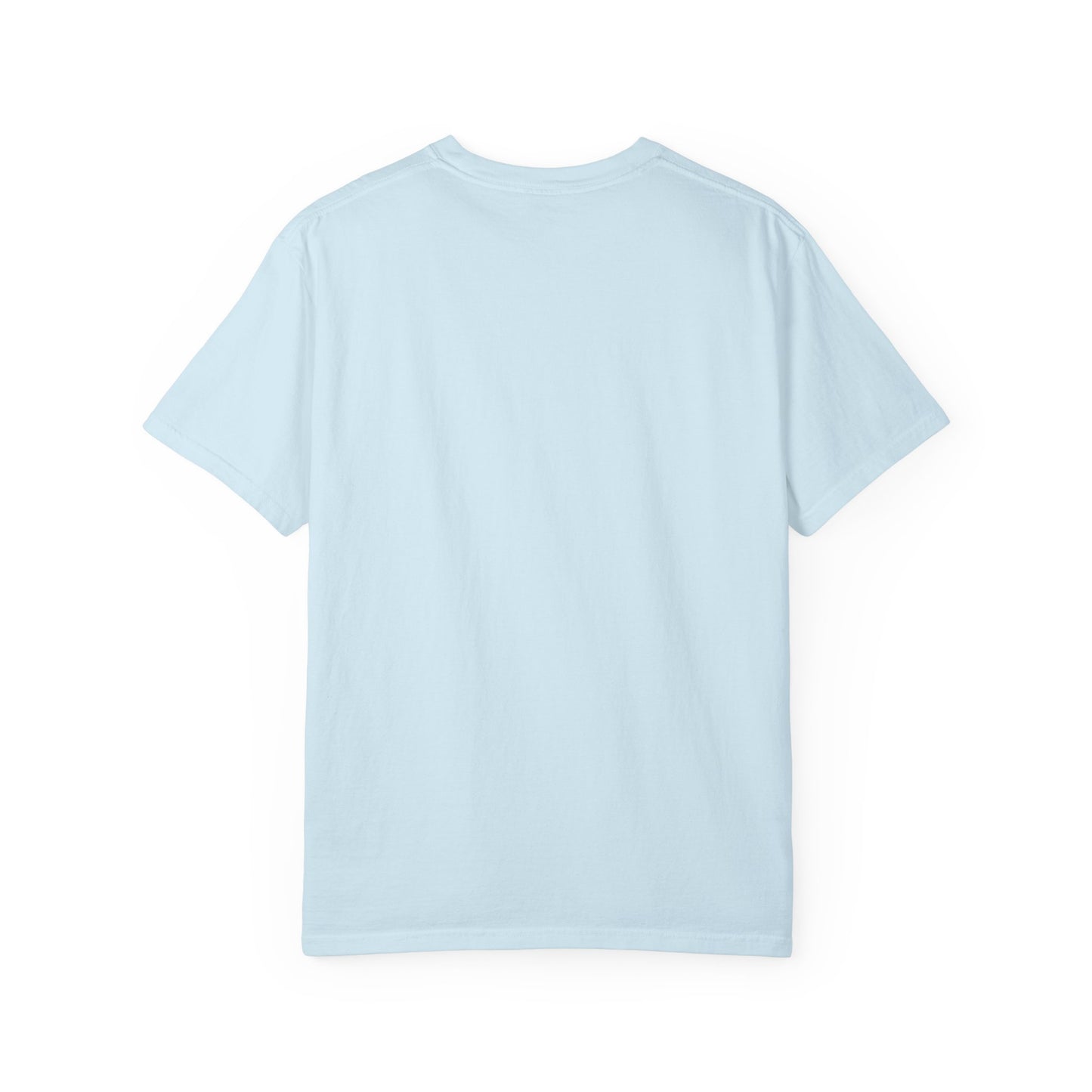Funny Unisex T-Shirt - I Came I Saw I Made It Awkward
