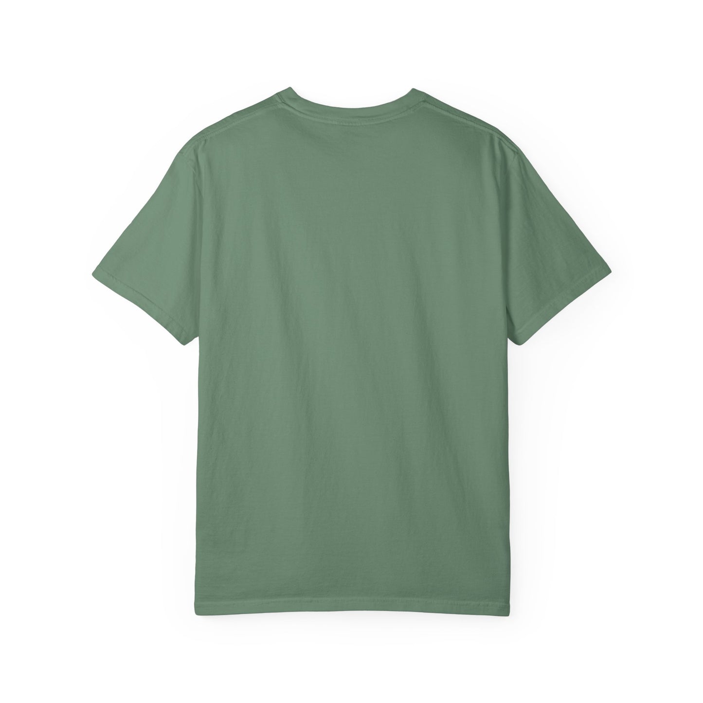 Funny Unisex T-Shirt - I Came I Saw I Made It Awkward