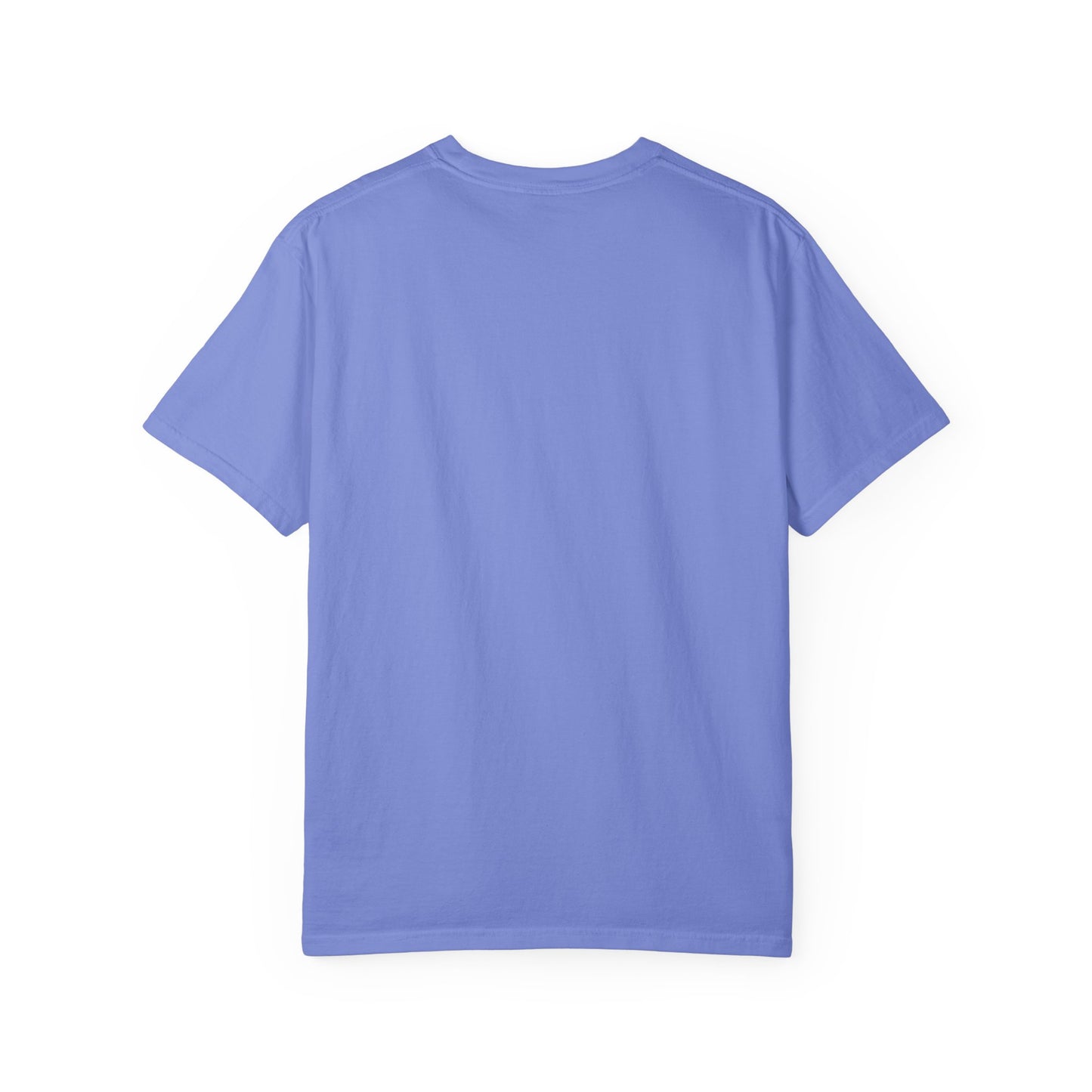 Funny Unisex T-Shirt - I Came I Saw I Made It Awkward