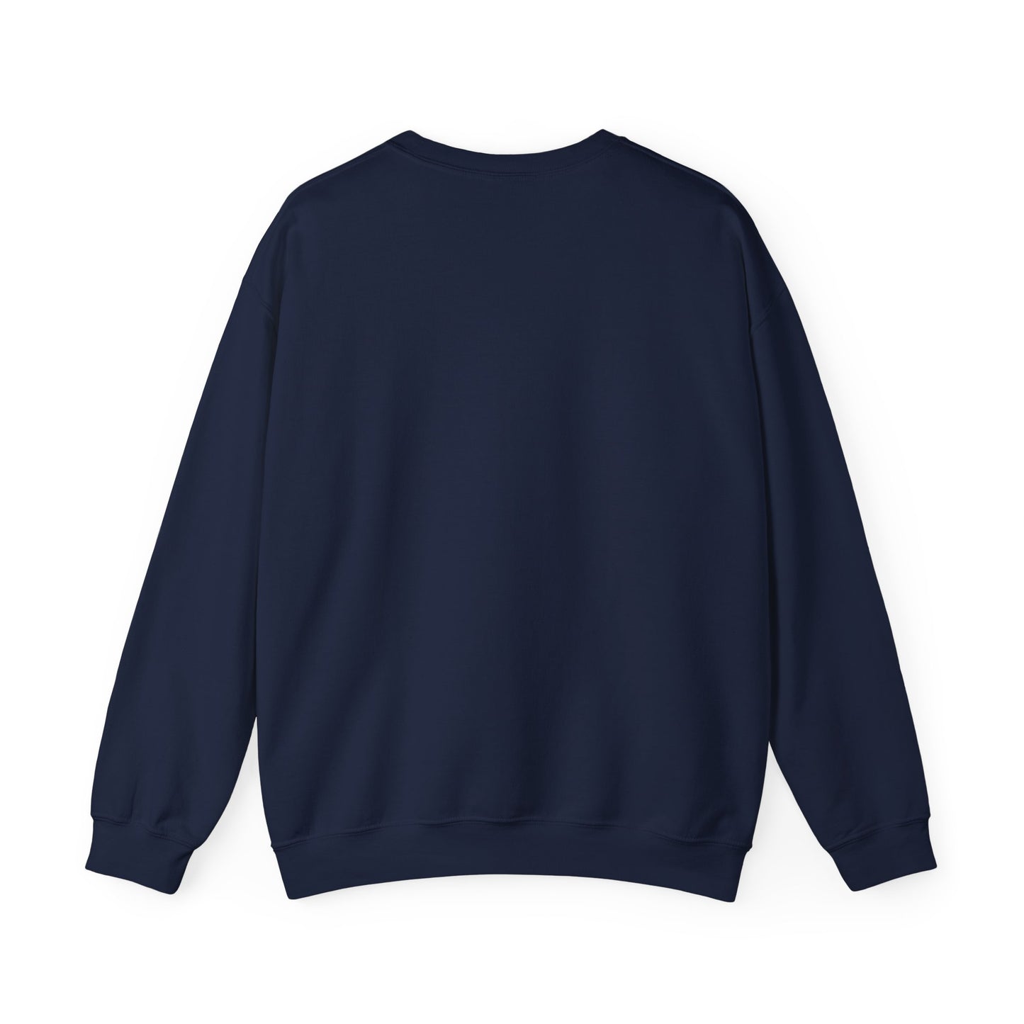 Embrace the Future Sweatshirt