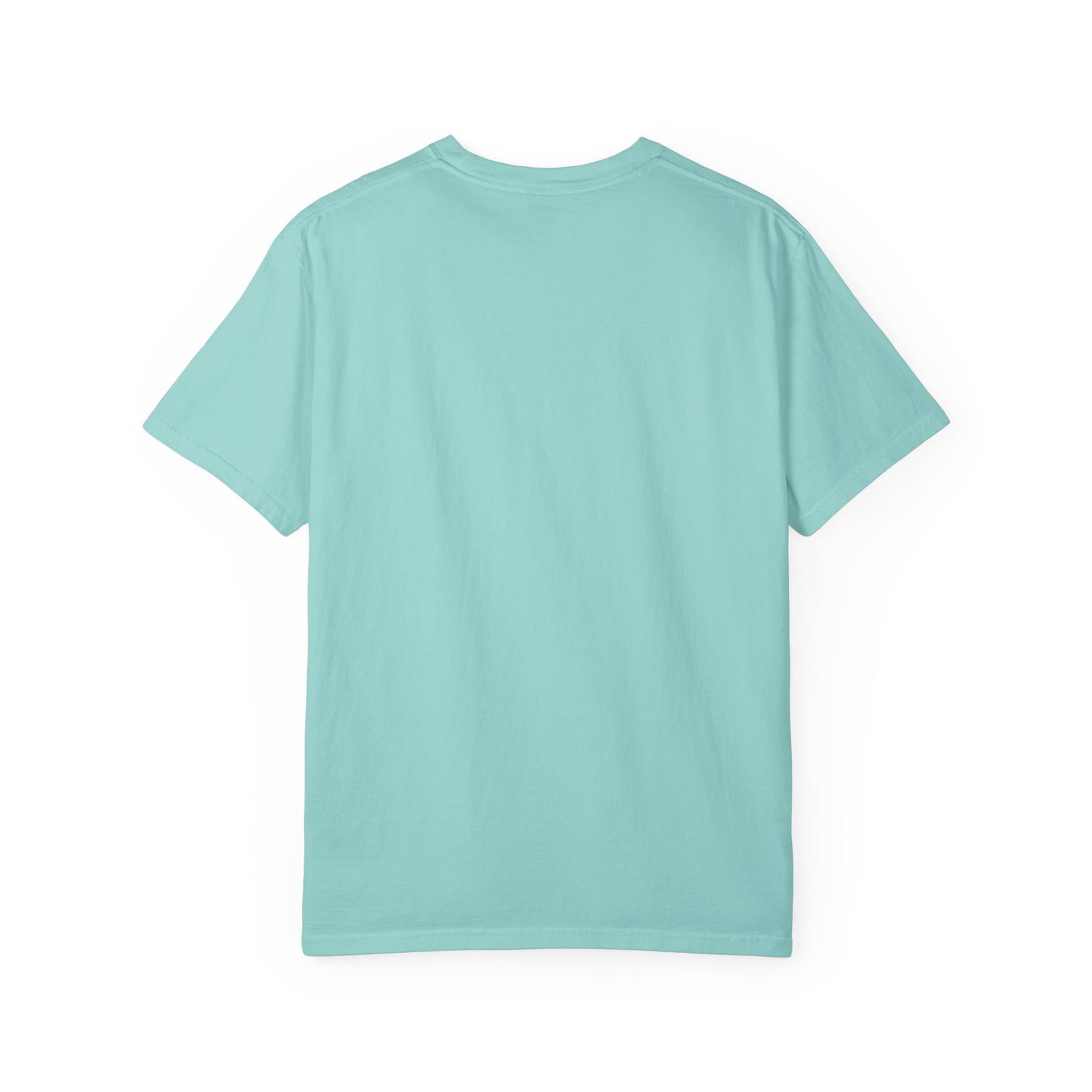 Funny Unisex T-Shirt - I Came I Saw I Made It Awkward