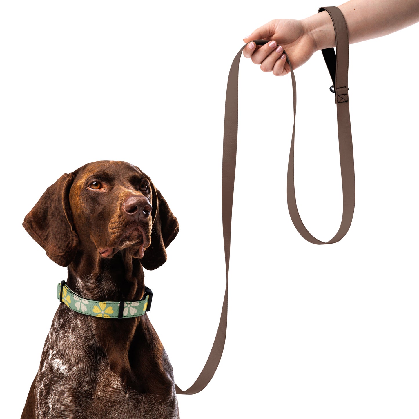 Pet Collar SunnyPaw