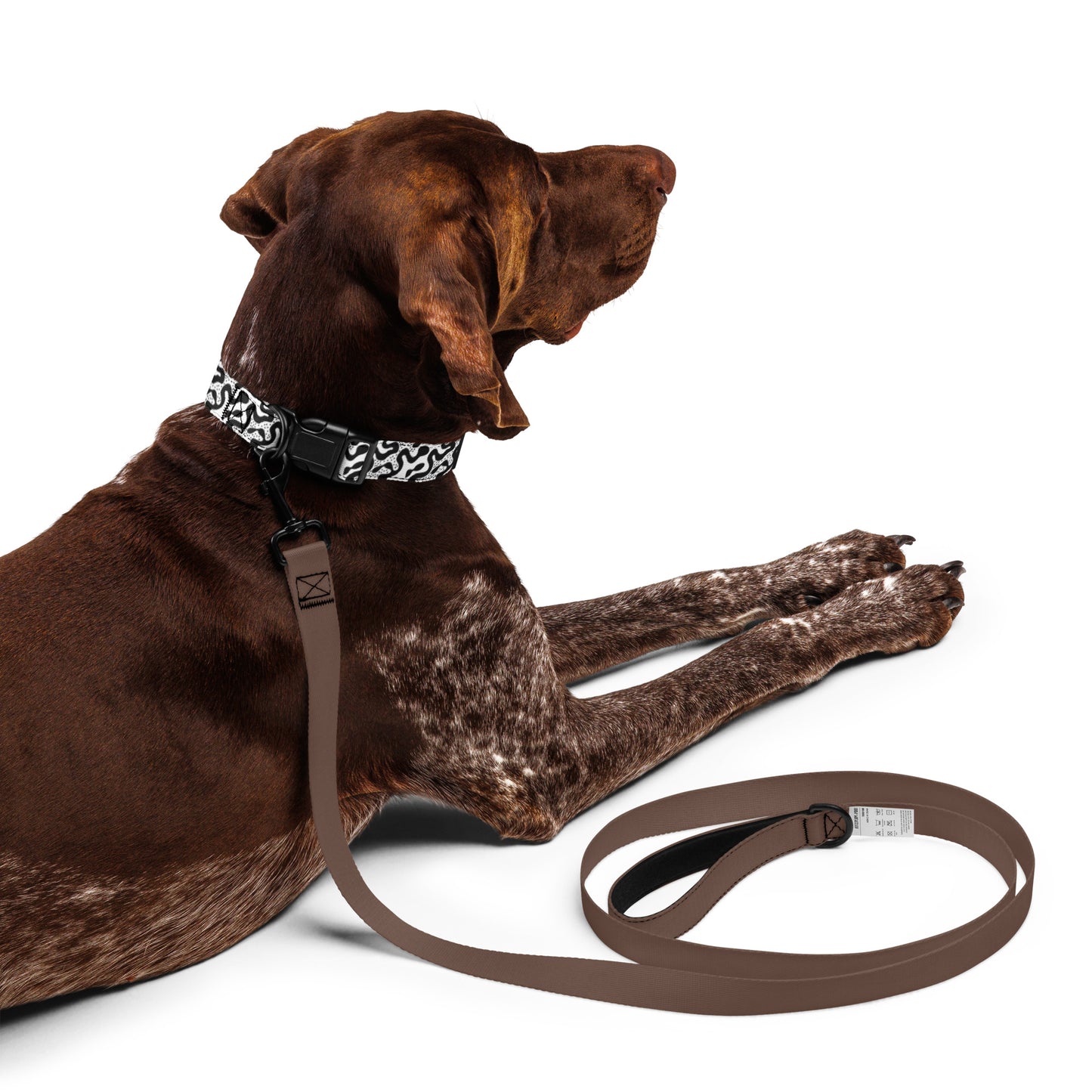 Pet Collar Tailwind