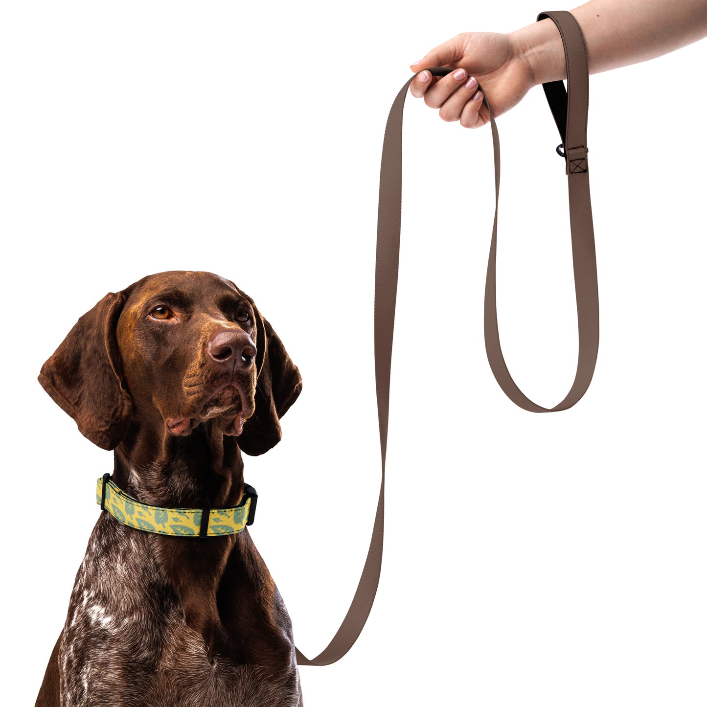 Pet Collar SnuggleLead