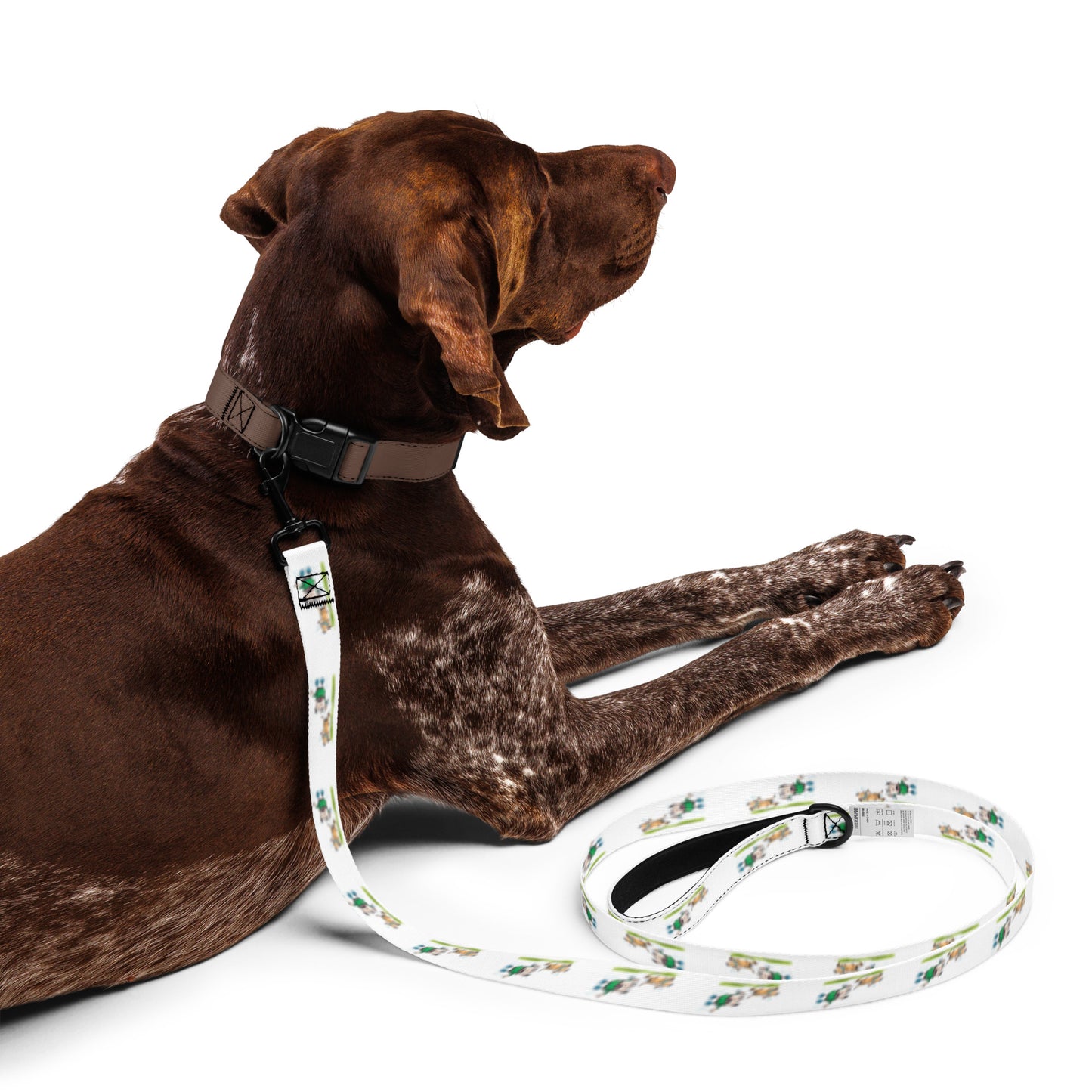 Pet Leash Cartoon Companions