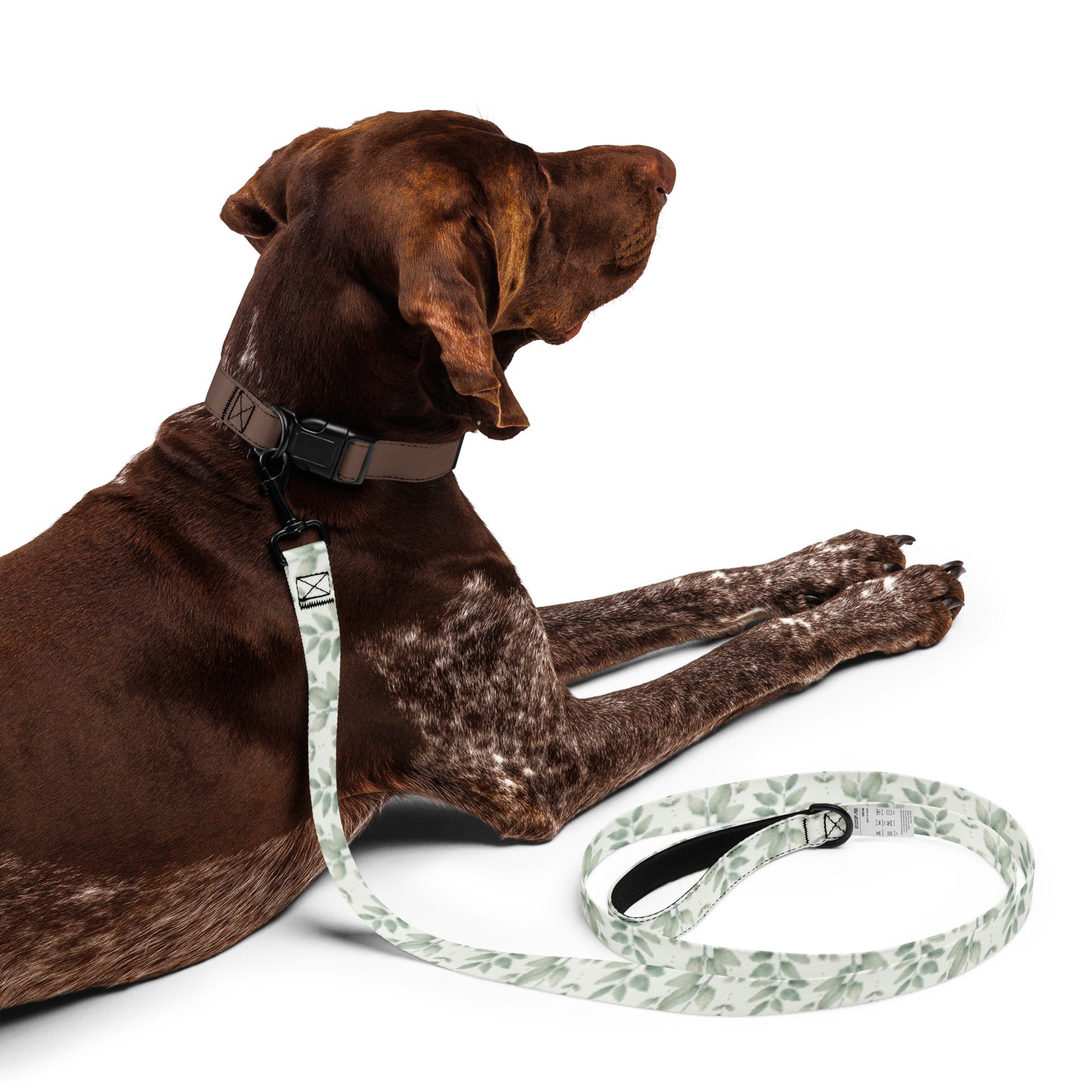 Pet Leash LeafTrail