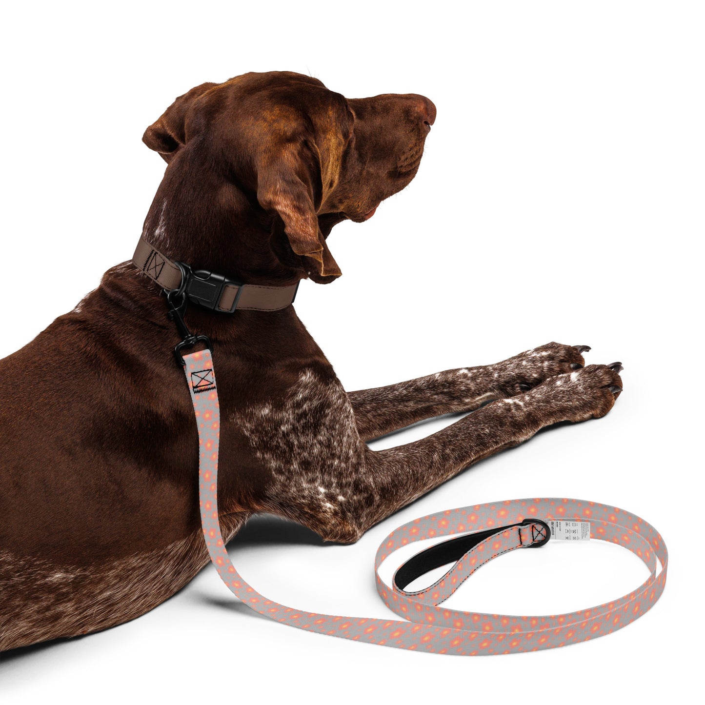 Pet Leash Plush Harmony