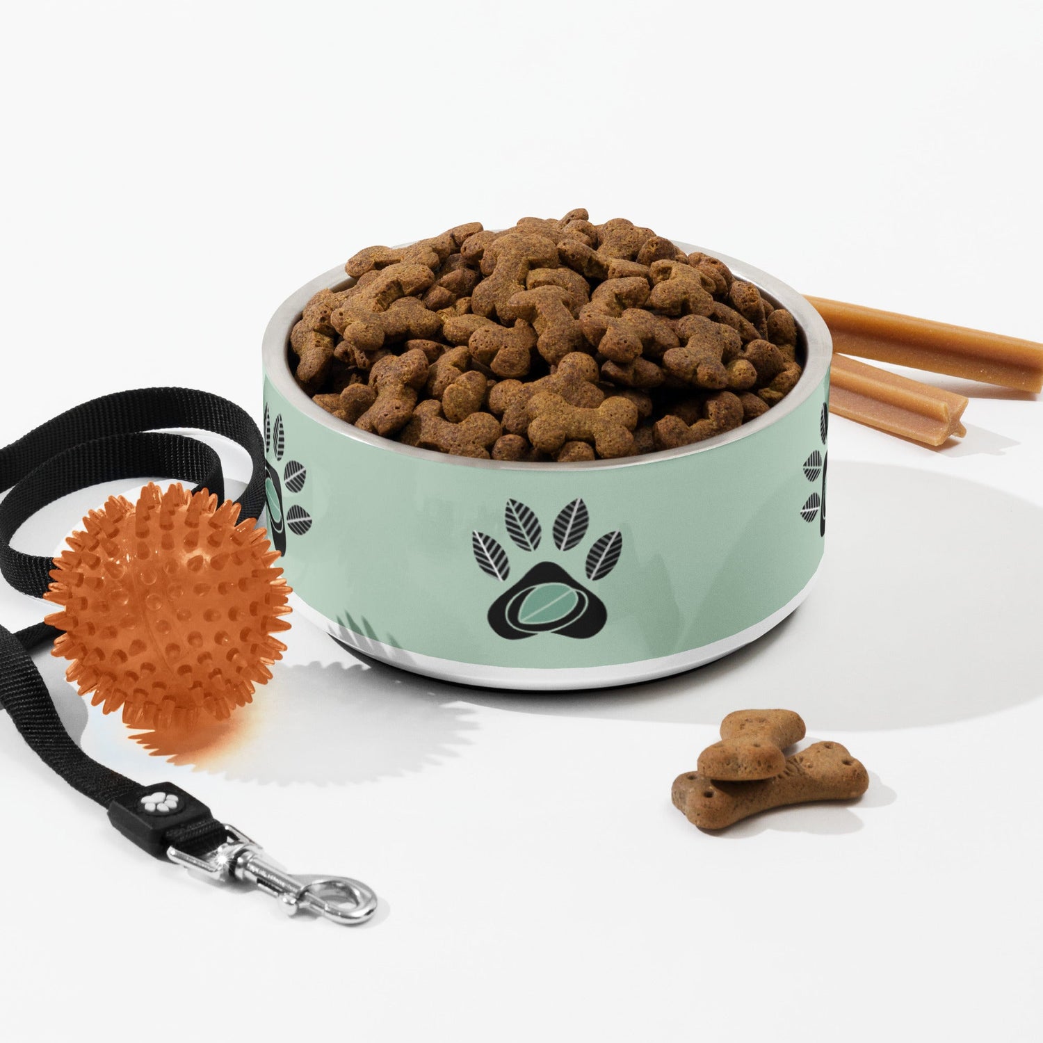 Pet Accessories
