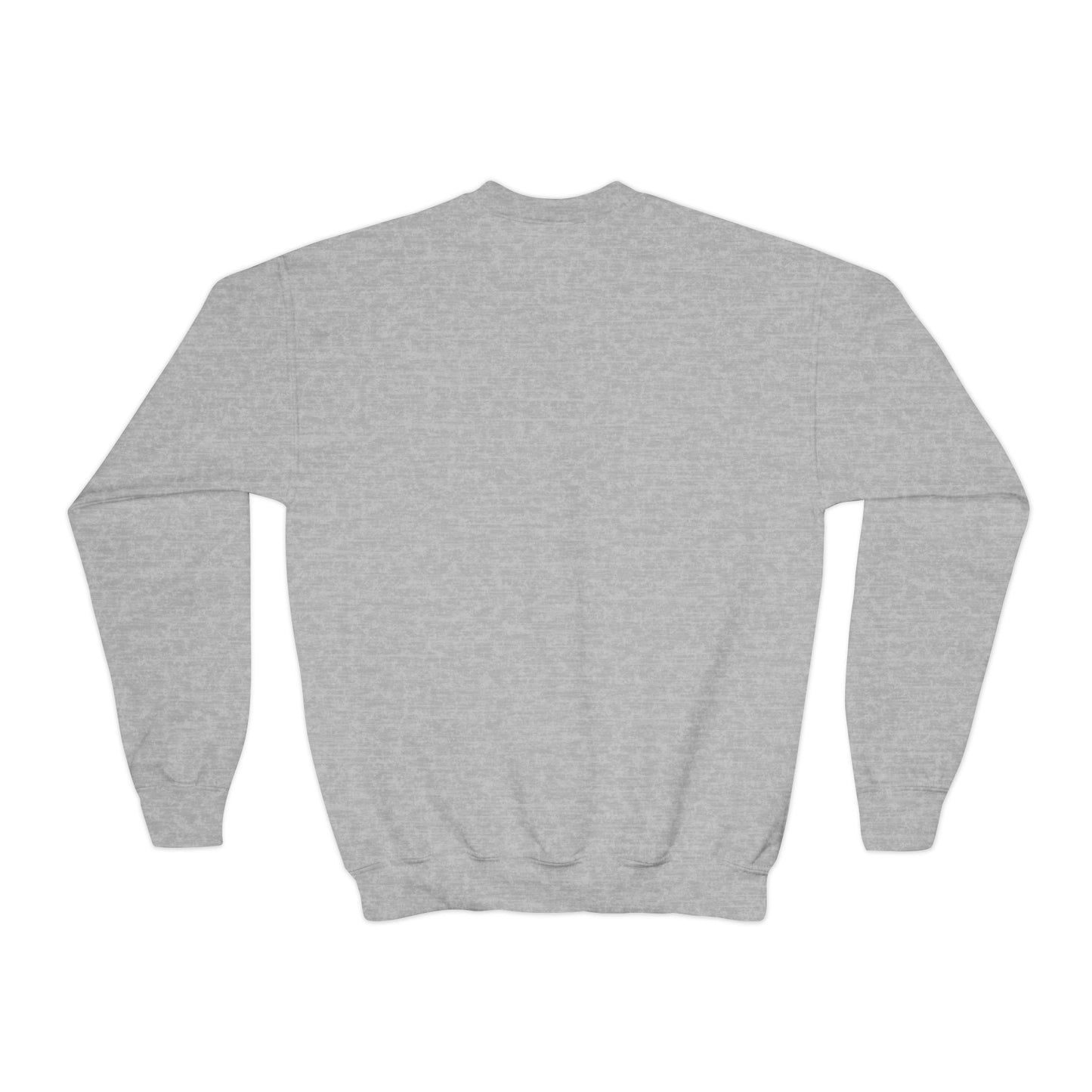 Youth Sweatshirt - Let's Sail Design
