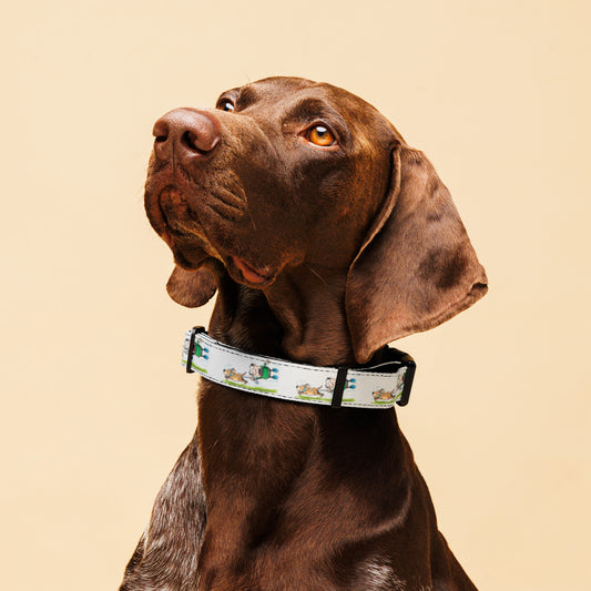 Cartoon Companions Pet Collar