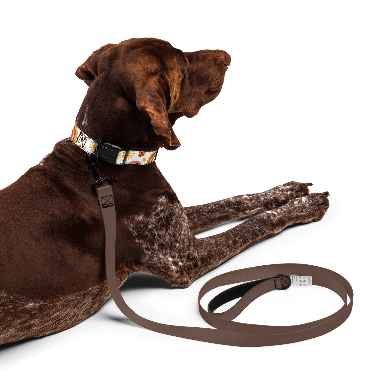 Pet Collar Rainbow