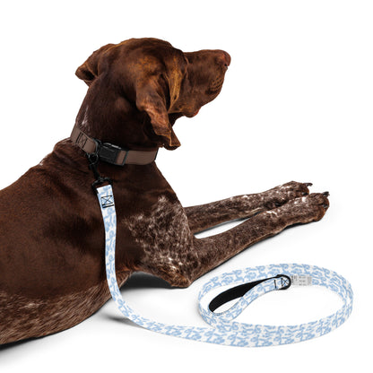 Pet Leash LunaWalk