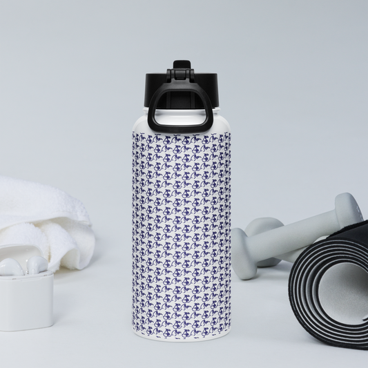 Stainless steel water bottle with a straw lid 32 oz